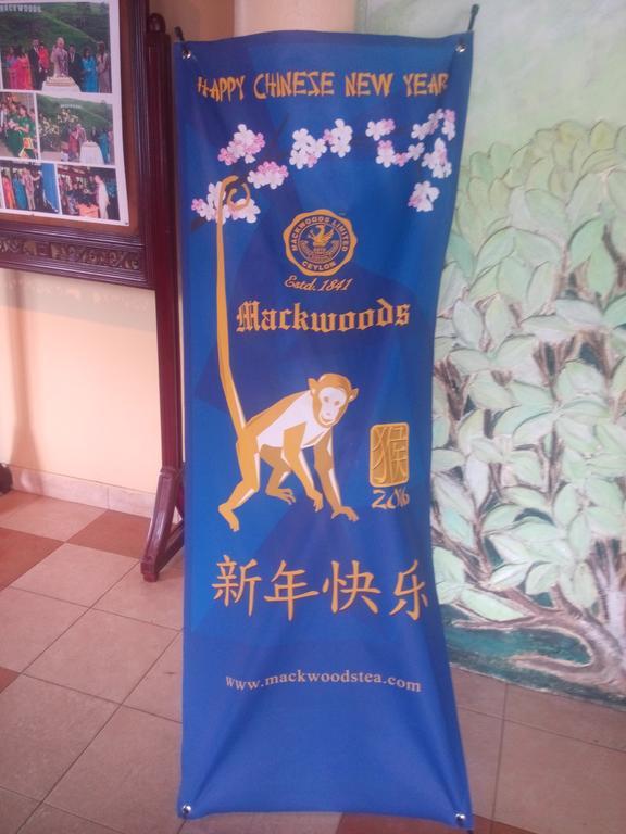نوفارا إيلِيا Blue Wing Inn المظهر الخارجي الصورة